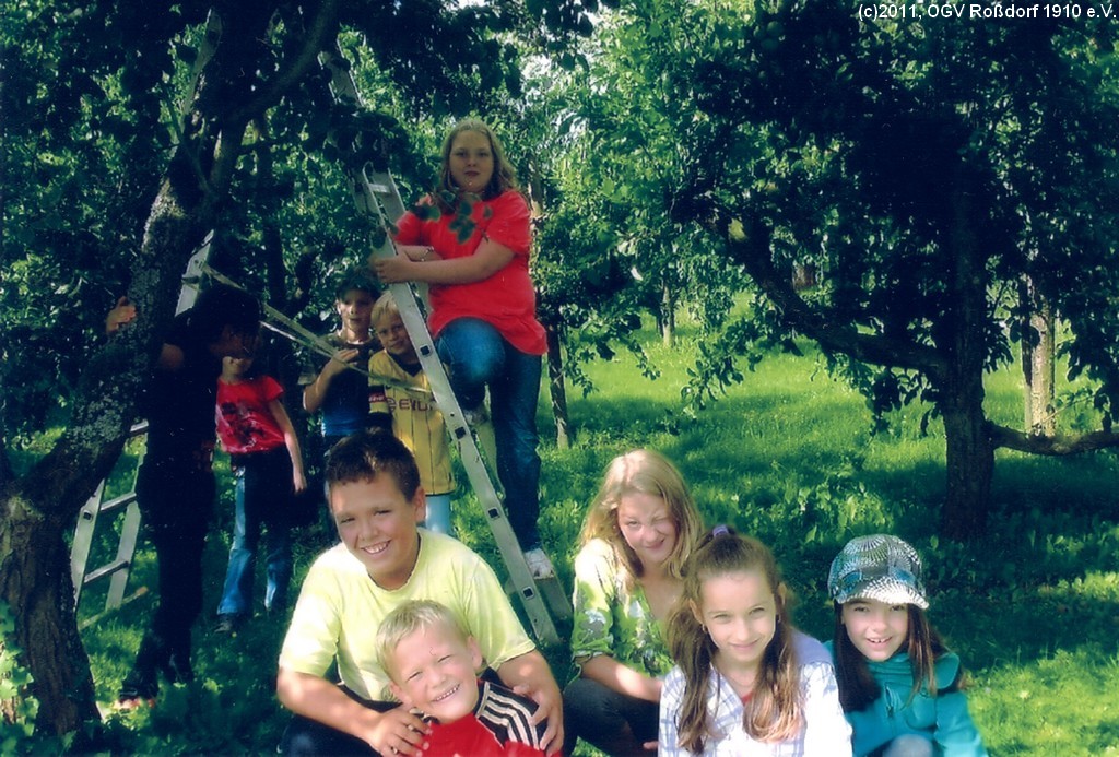 20 Jahre Jugendarbeit beim OGV Rodorf